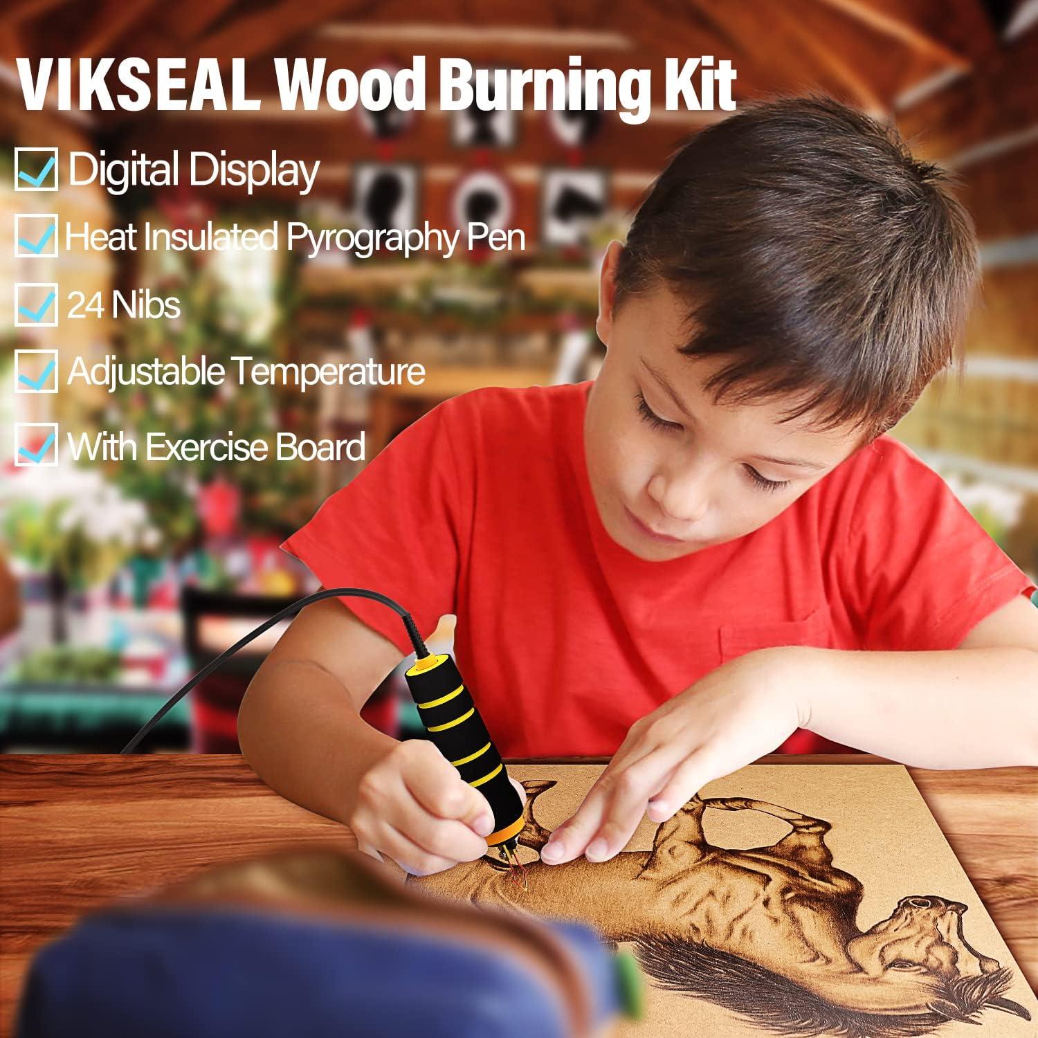  Professional Wood Burning Pen Universal Pen Replacement Pen for  110V 60W Wood Burning Kits Pyrography Machine TDD : Home & Kitchen