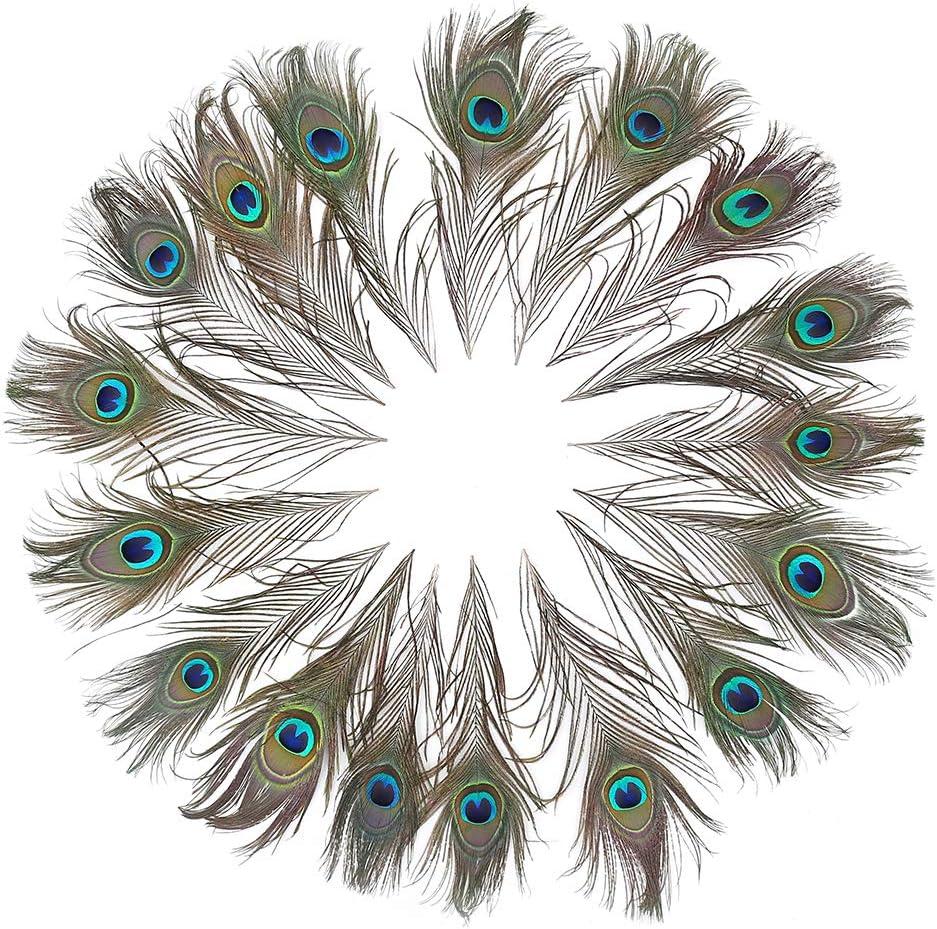 12 PCS Real Natural Peacock Eye Feathers 10-12 inch for DIY Craft, Wedding  and Holiday Decorations
