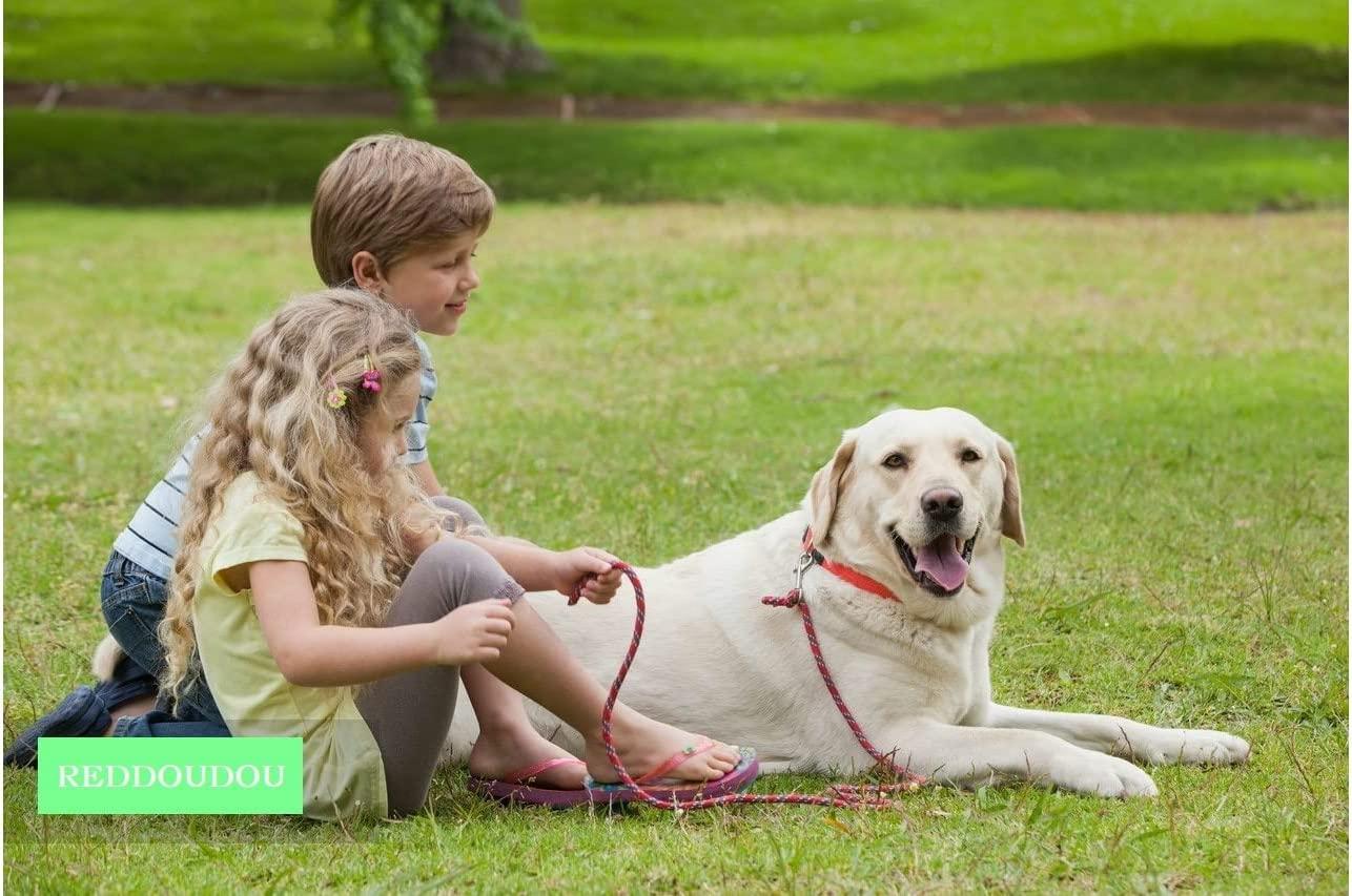 REDDOUDOU Newborn Puppy Kitten Small Animal Sterile Mucus Extractor