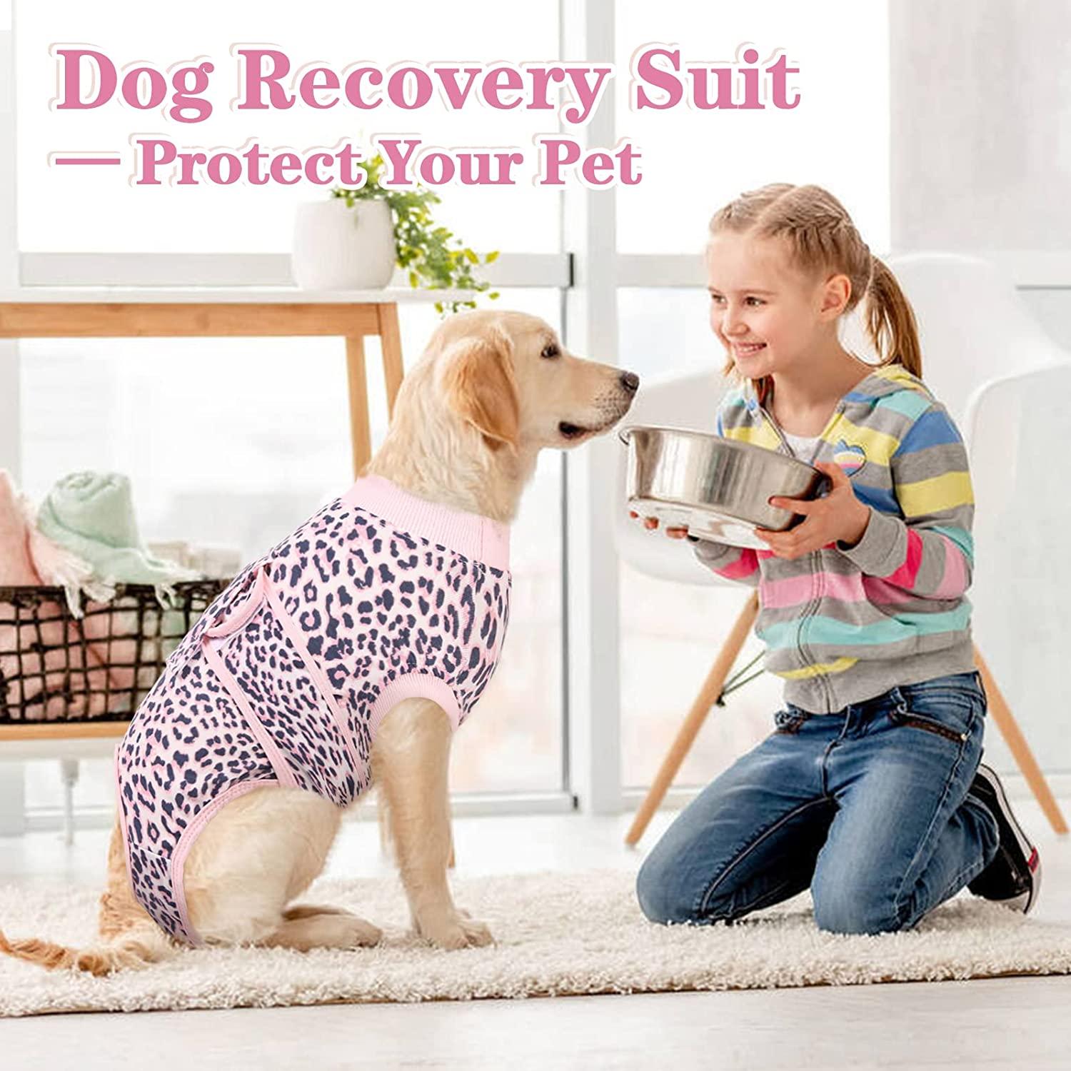 Dog shirt to prevent licking cheap
