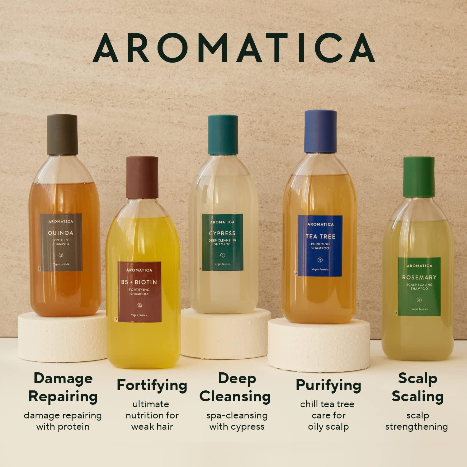 AROMATICA Rosemary Scalp Scrub and Scalp Spray Set - Protect and Refresh  Your Hair from Toxins with Rosemary Oil 04 Rosemary Scrub & Spray Set