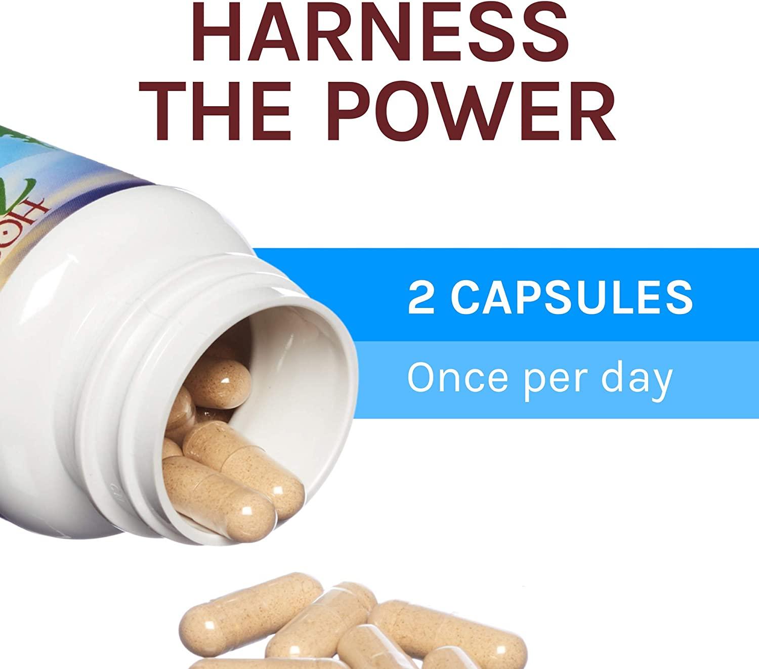 Fungi Perfecti Mushrooms Breathe Healthy Respiratory Support 60