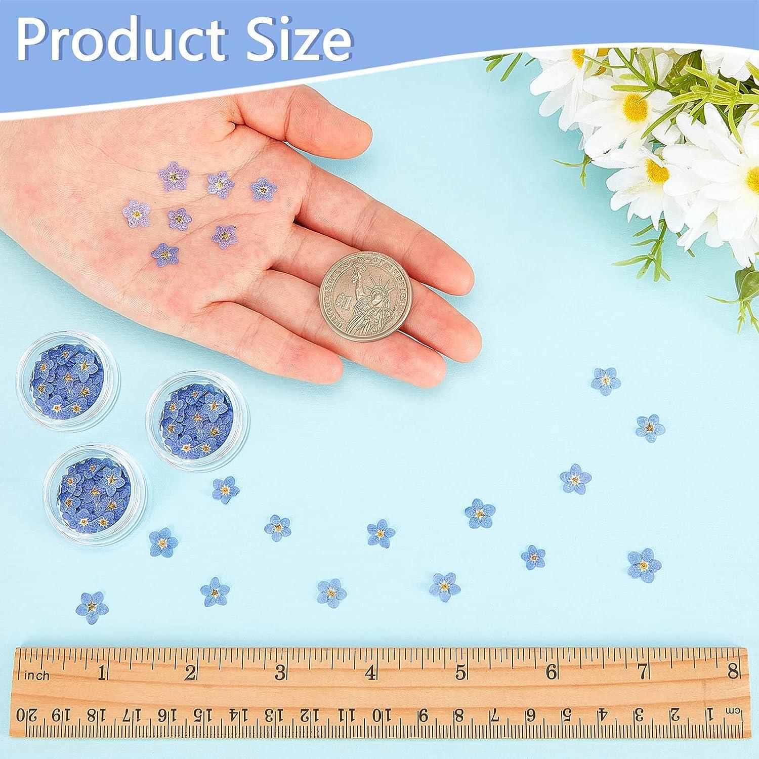 1 Box Forget-me-not Dry Flowers for Resin Crafts DIY Aromatherapy Candle  Real Dried Flowers Jewelry Wedding Gifts Making Accesso