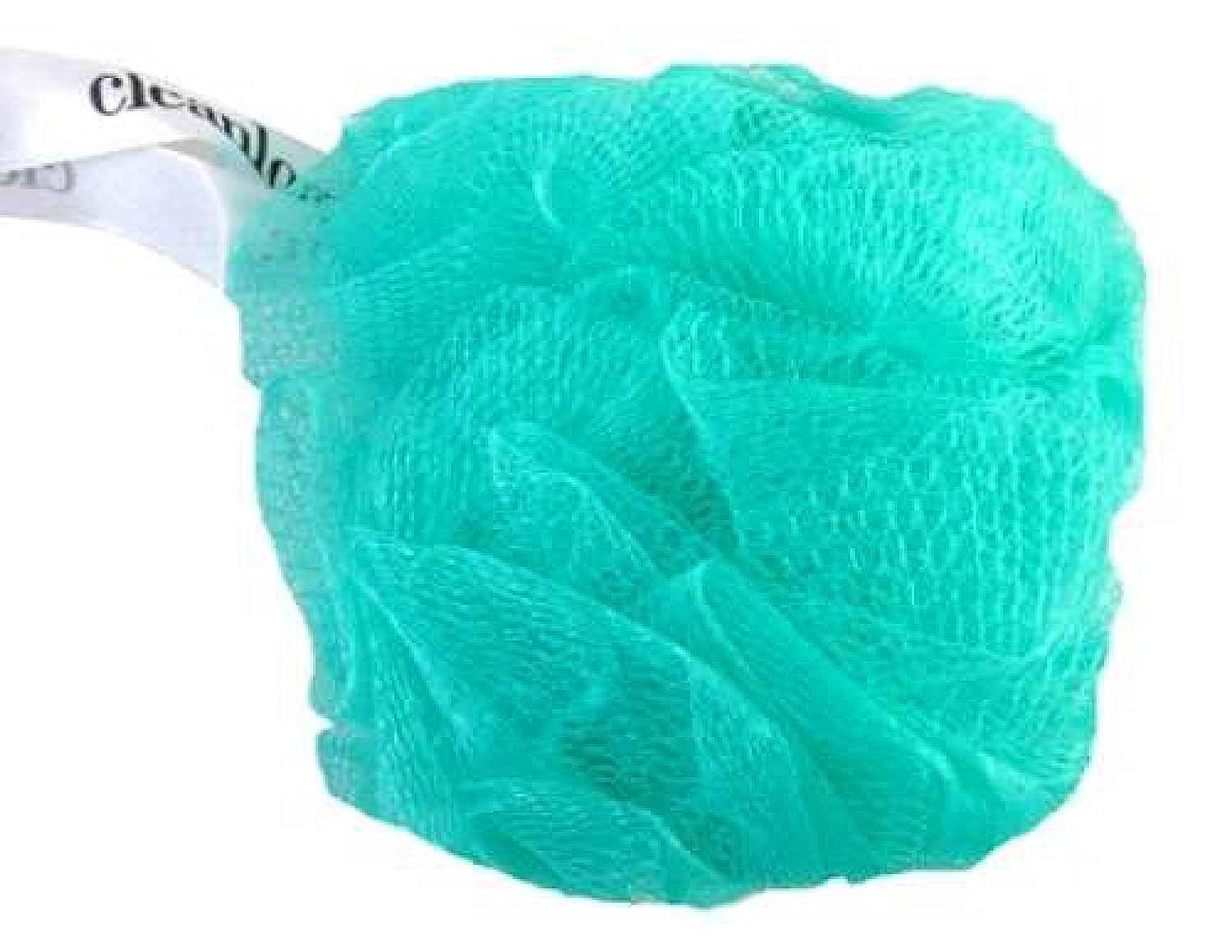 Clean Logic Mesh Bath Sponge 40G (6 Pieces) Assorted Colors