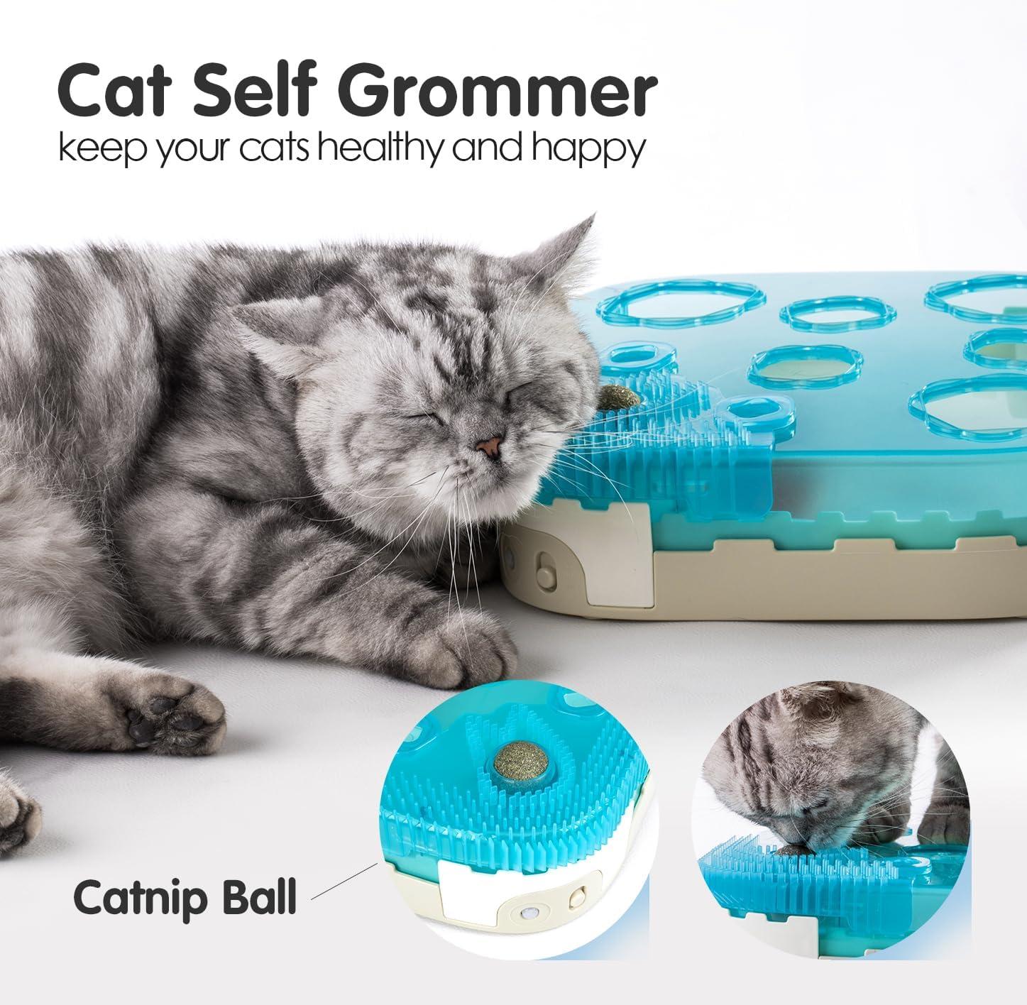 Toys for house cats outlet