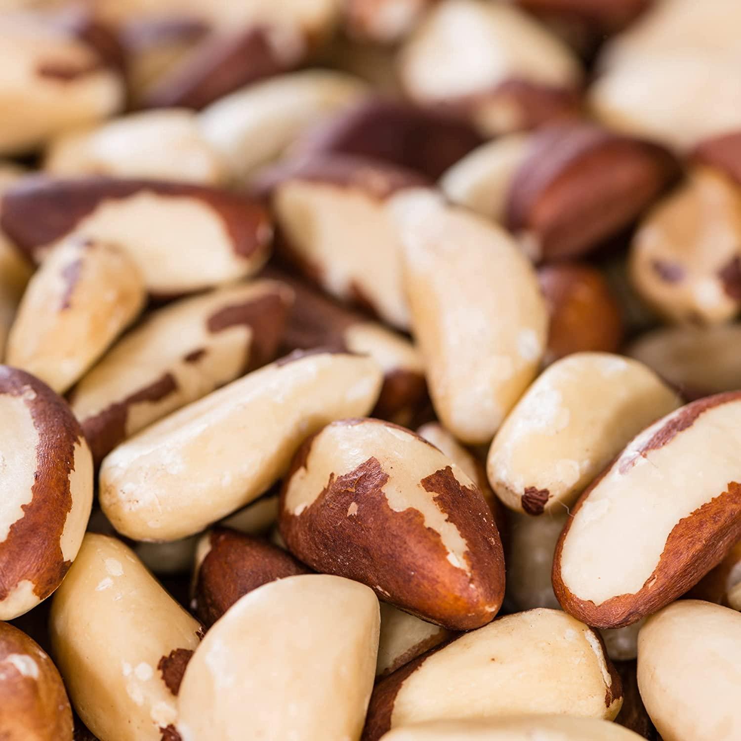 The Amish EcoFarm Medium Brazil Nuts 2 Lbs Raw, Fresh, Vegan & Keto