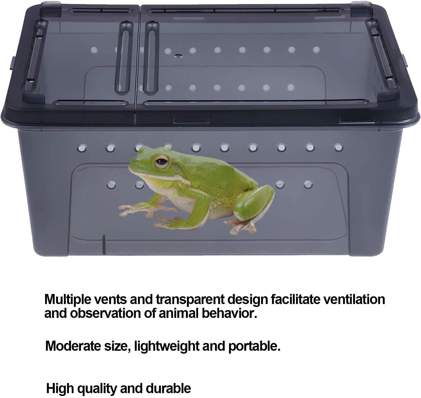 kathson Reptile Feeding Box Small Snake Breeding Container Transparent