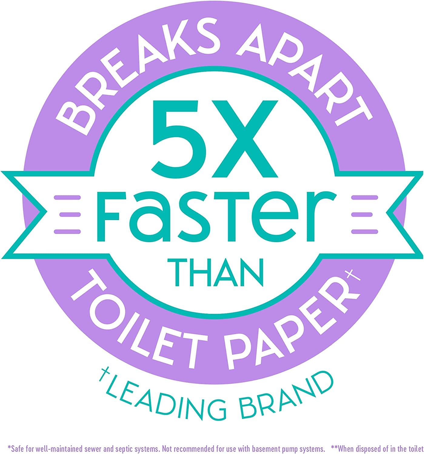 Nice 'N Clean SecureFLUSH Adult Flushable Wipes with Aloe & Vitamin E ...