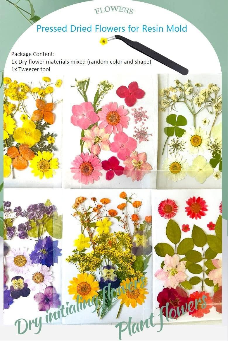 Evatage 153Pcs Dried Pressed Flowers for Resin, Real Pressed Flowers with  Tweezers, Multiple Colorful Resin Dry Flowers Bulk for Craft, Resin Mold,  Jewelry Making, Candle and Nails Decoration