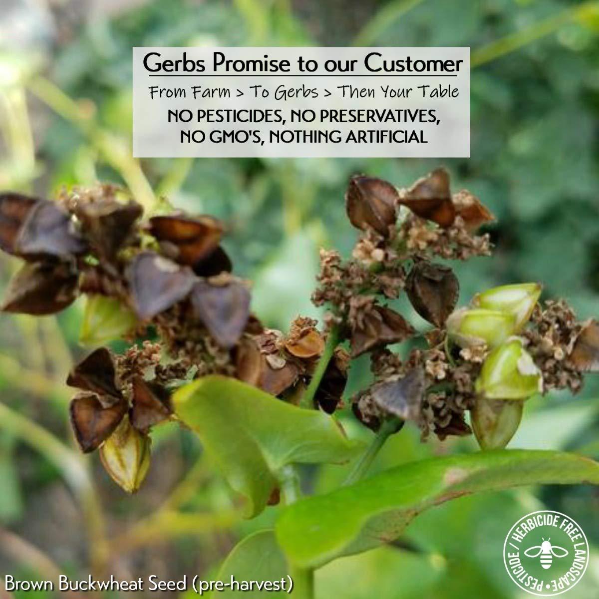 GERBS Buckwheat Grain Groats 4 LBS. Premium Grade Top 14 Food Allergy