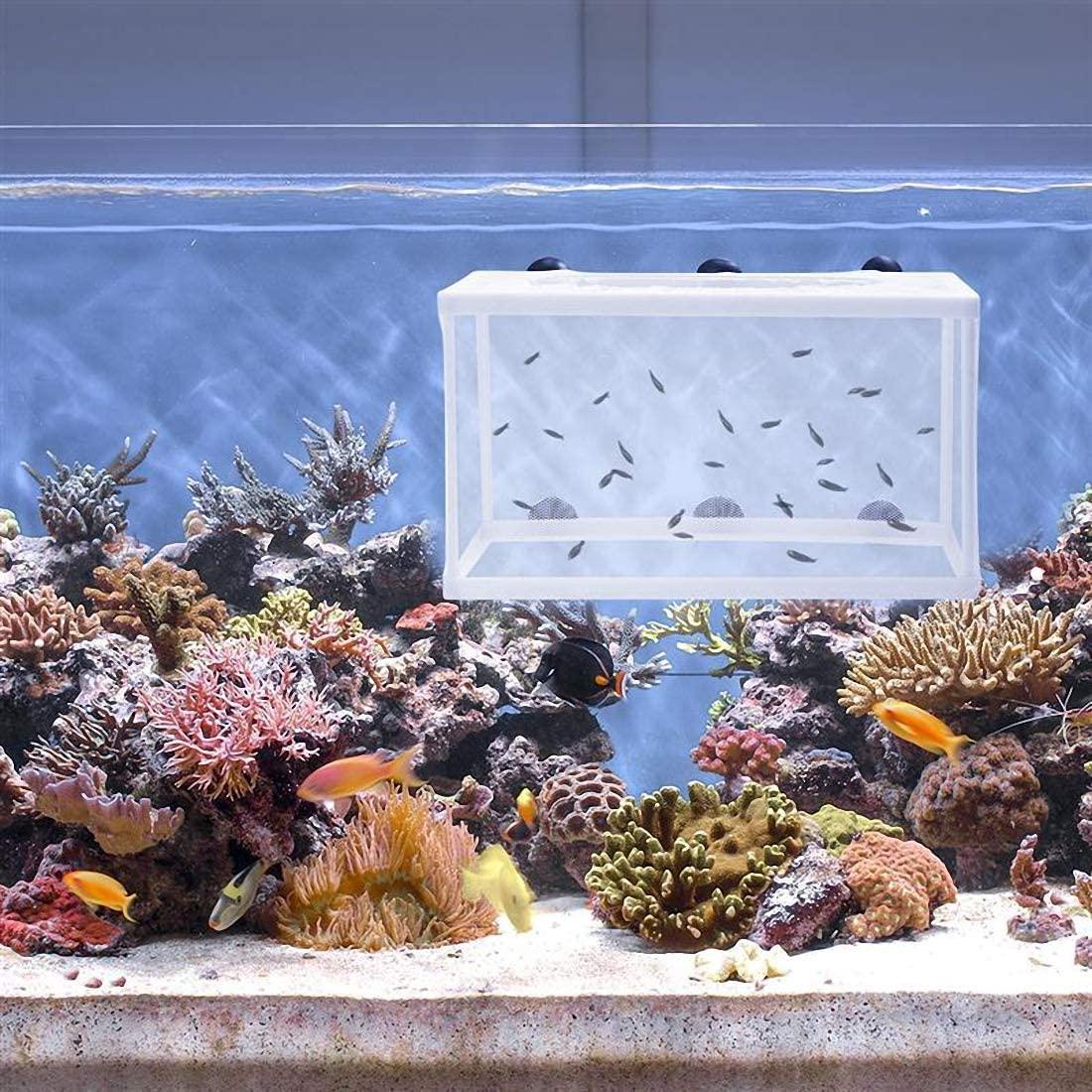 Trinidad Aquarium Fish Breeding Box,Fish Hatchery Isolation Box