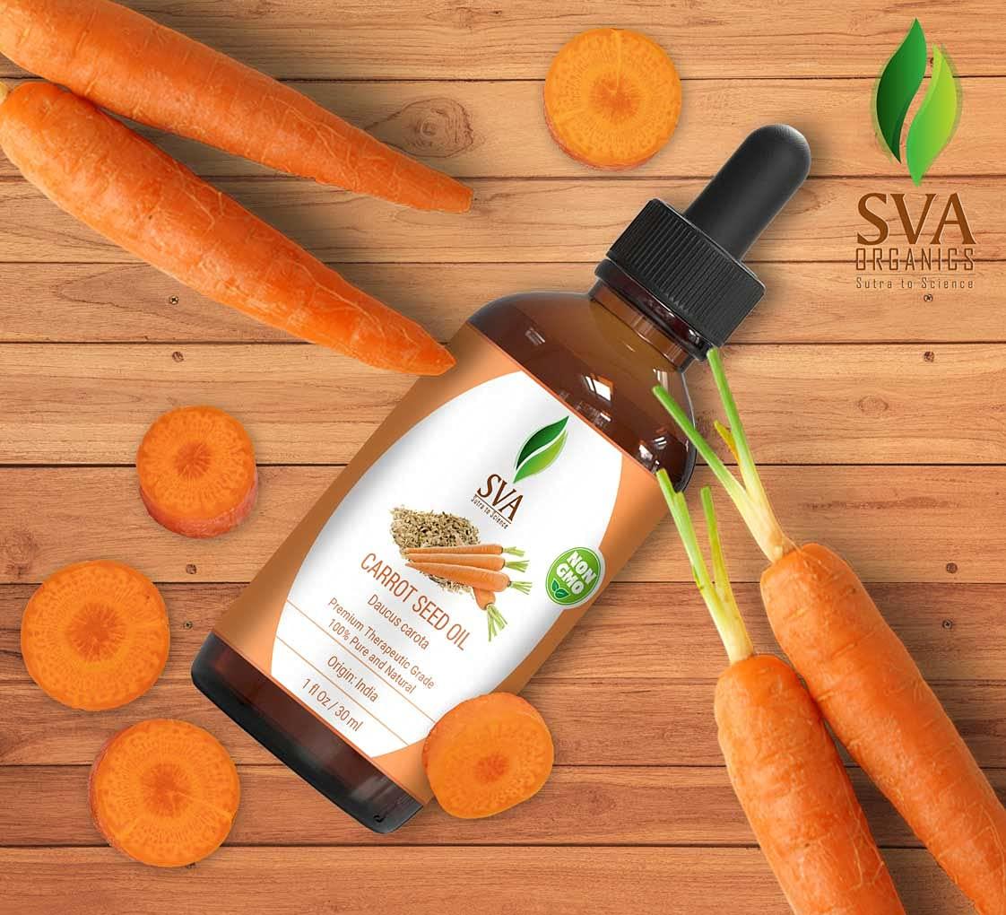 SVA ORGANICS Carrot Seed Carrier Oil 1 Oz Pure Cold Pressed Undiluted  Therapeutic Grade Nourishing Oil for Face Skin & Hair Care