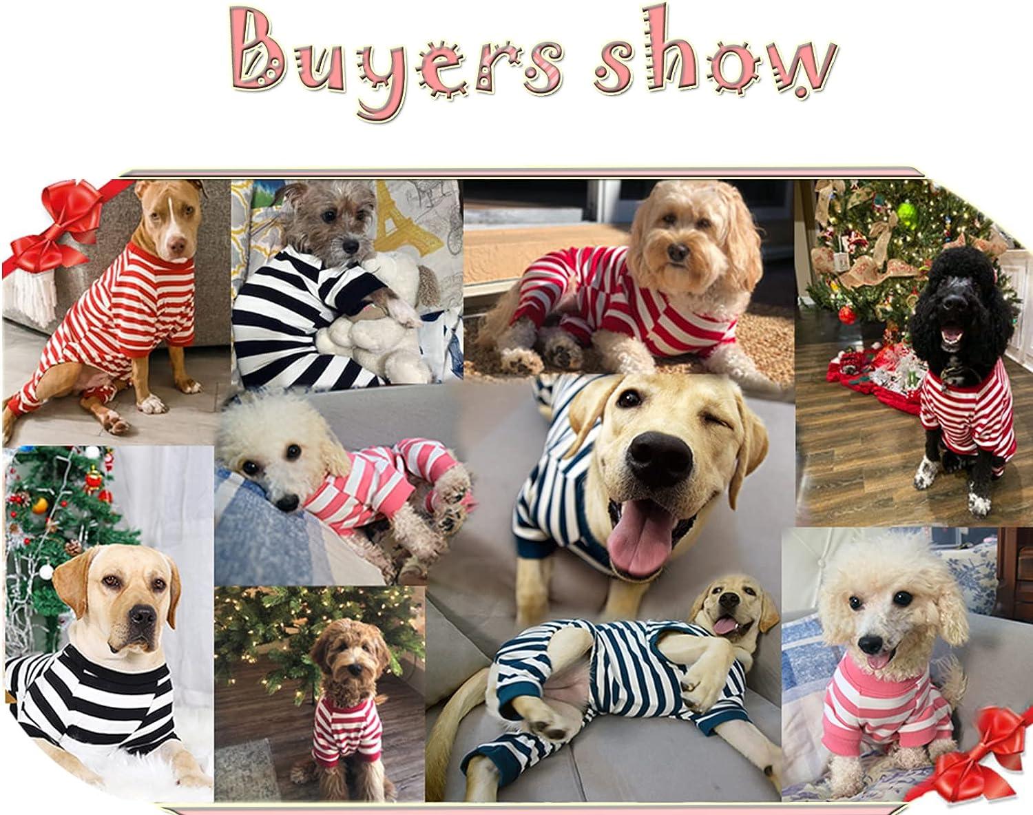 Dog pajamas for golden retrievers hot sale