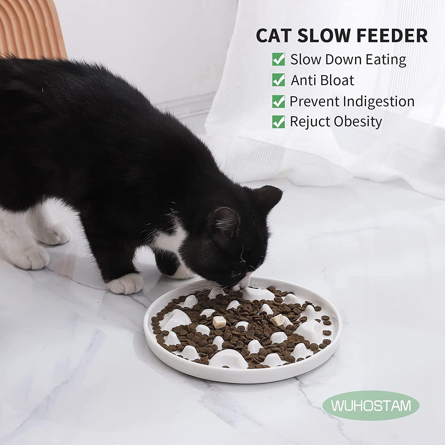 Slow Feeder Bowl for Cats and Small Dogs, Ceramic Cat Puzzle Feeder