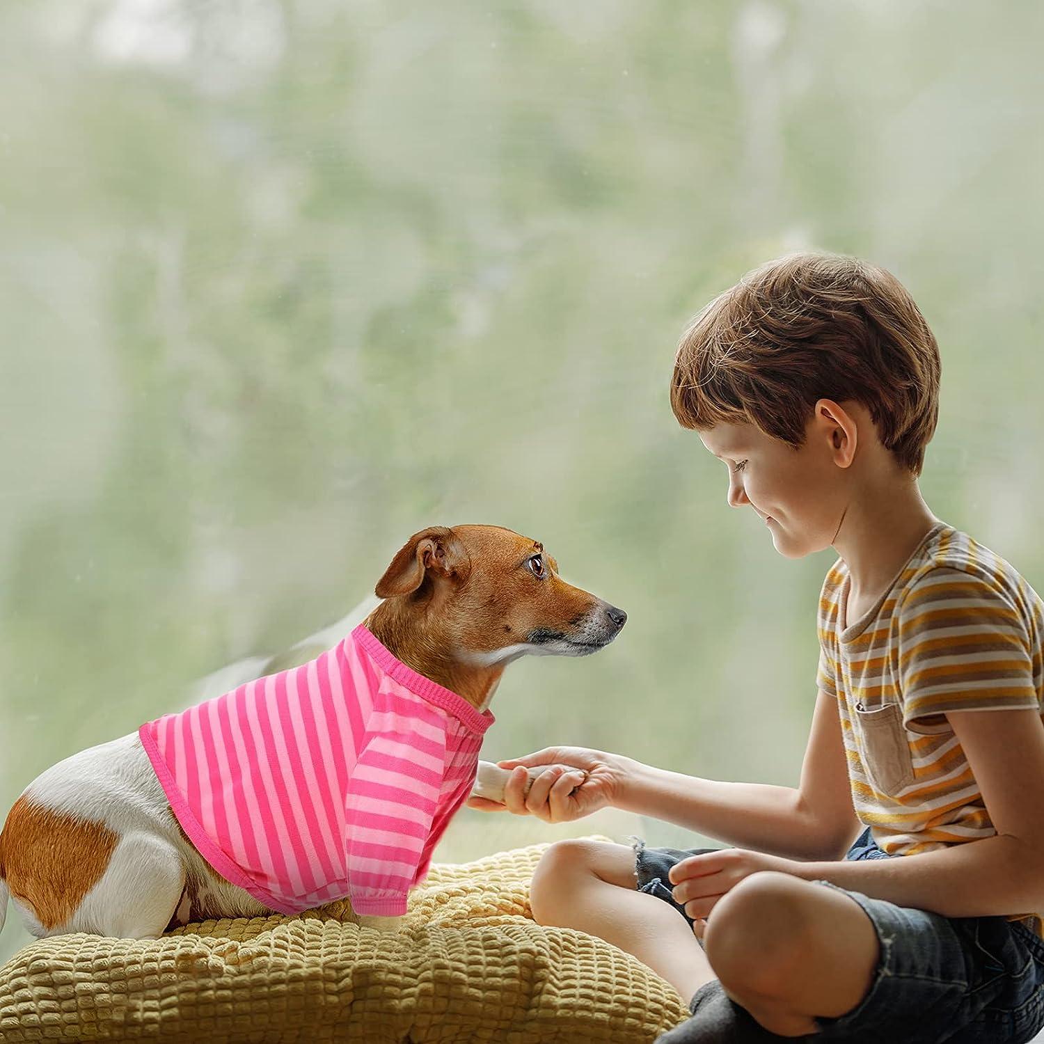 12-Piece Striped Dog T-Shirt Set for Small Dogs - Soft & Breathable Apparel  for Pets (Large) | Buy Now with Express International Delivery | GoSupps.com
