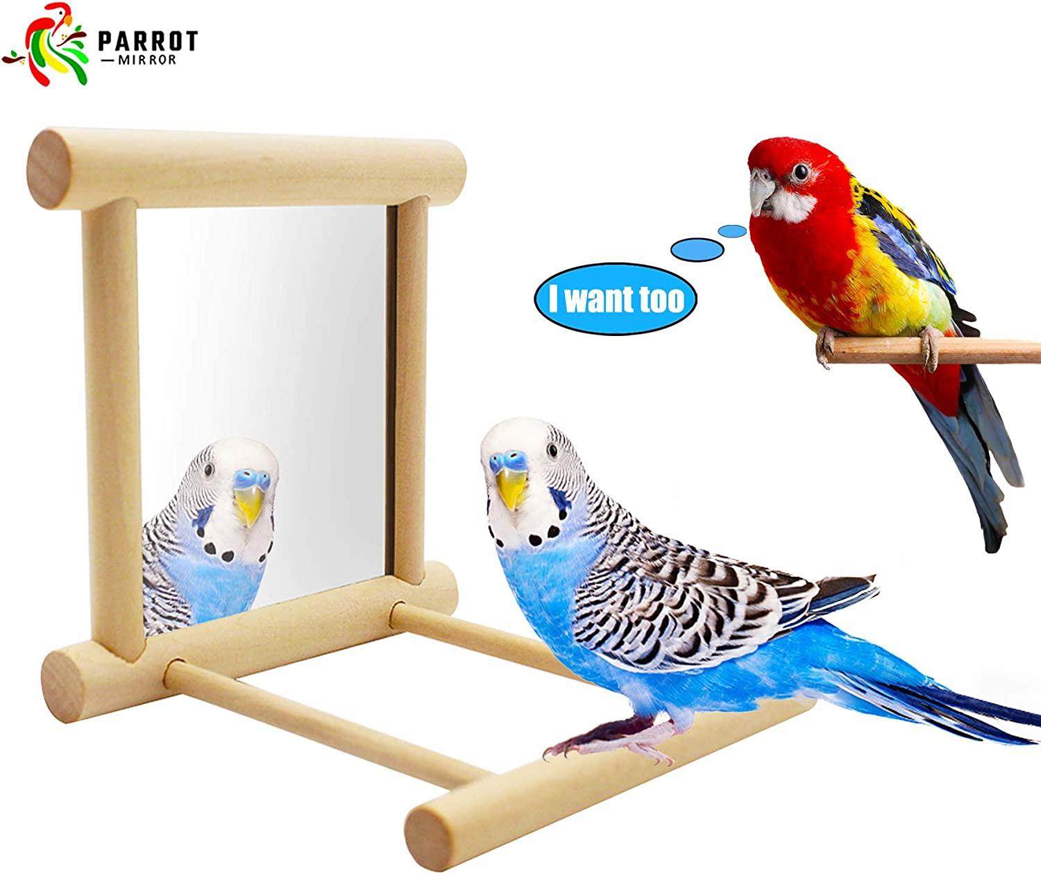 Blessed family Bird Parakeet Mirror for Cage,Parrot Perch Stand,Wooden