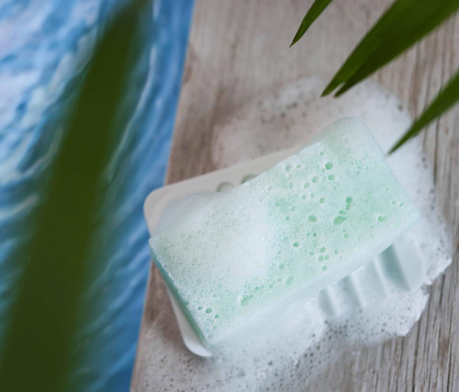 Pretty Skin Scrub (2 Pack) Body Wash Infused Sponges 20+ Washes per Sponge