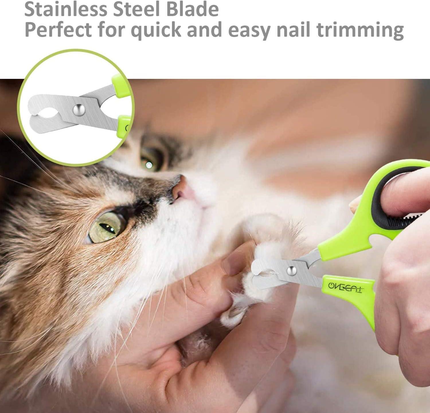 Stainless Steel Guinea Pig Nail Clippers Pets At Home Dog Nail