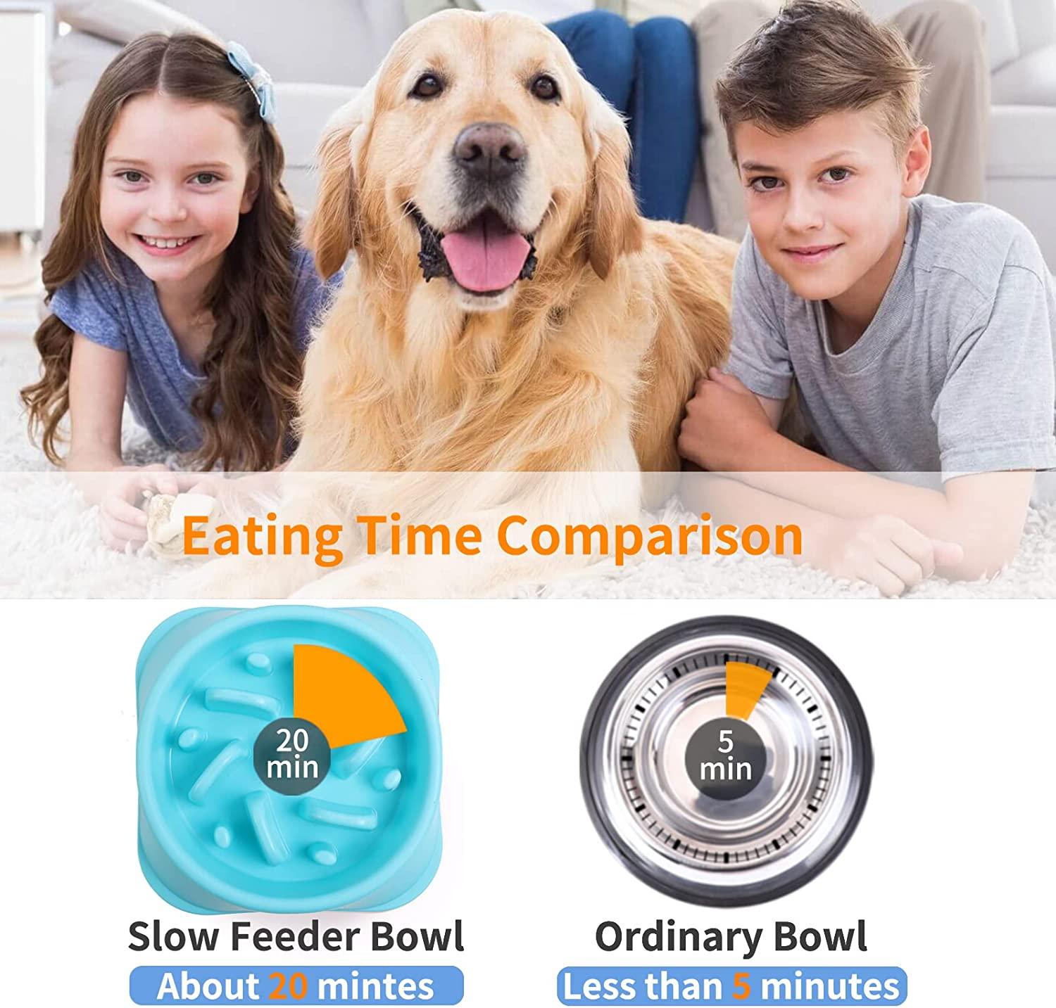 Flexzion Slow Feeder Dog Bowl, Anti-Gulping Dog Puzzle Bowl, Anti-Choke Non Slip Fun Feeder Bowl Interactive Bloat Stop Healthy Slow Eat Pet Bowl for