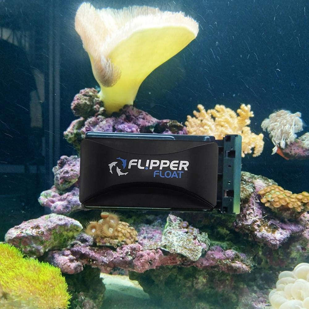 FL!PPER Flipper Cleaner Float - 2-in-1 Floating Magnetic Aquarium Glass  Cleaner - Fish Tank Cleaner - Scrubber & Scraper Aquarium Cleaning Tools  Floating Fish Tank Cleaner Standard -1/4 - 1/2