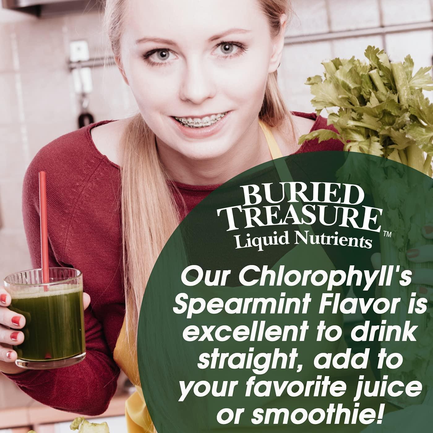 Buried Treasure Liquid Chlorophyll Spearmint 16.23 fl oz