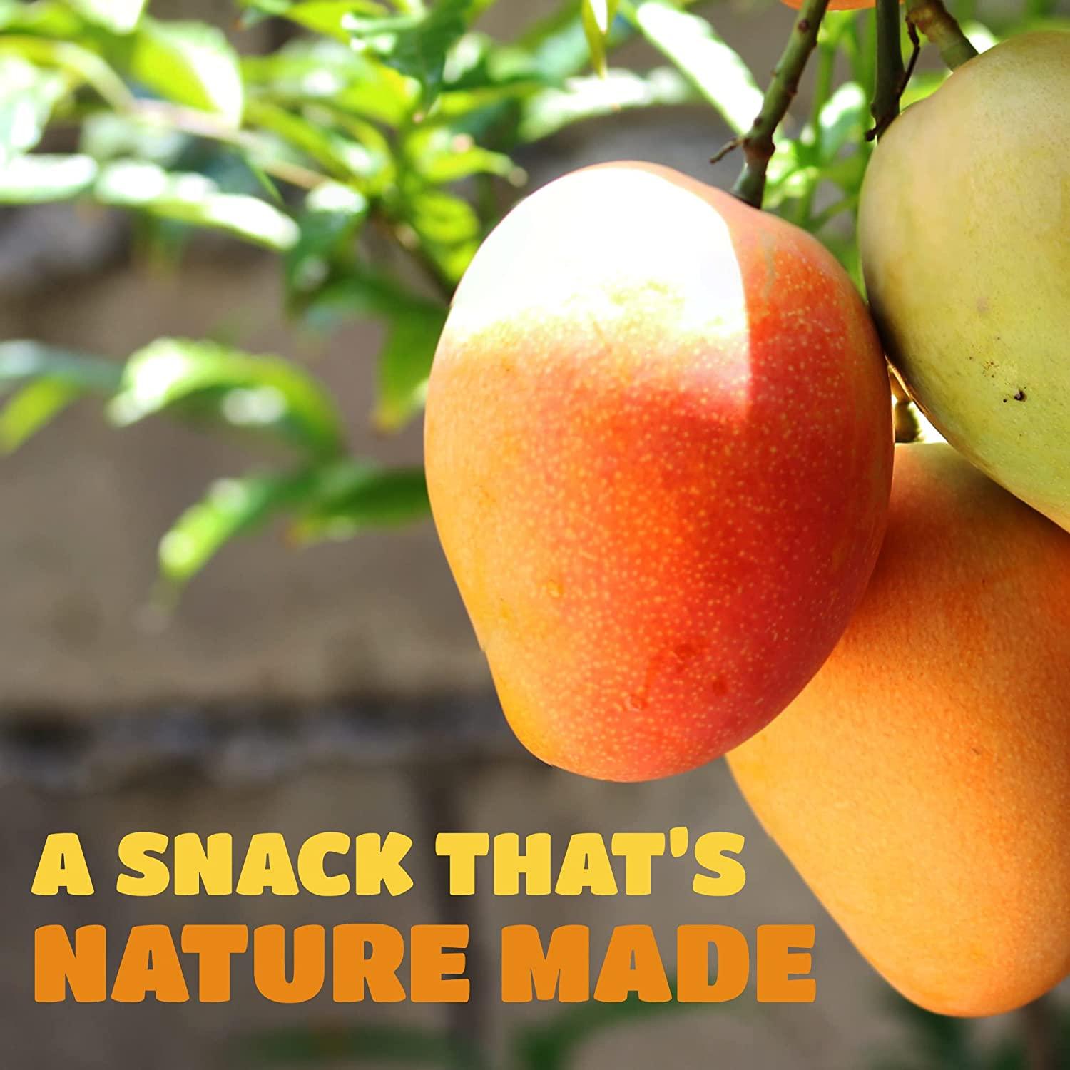 Dried Mango Slices Delicious Texture Soft & Juicy Low Sugar Added