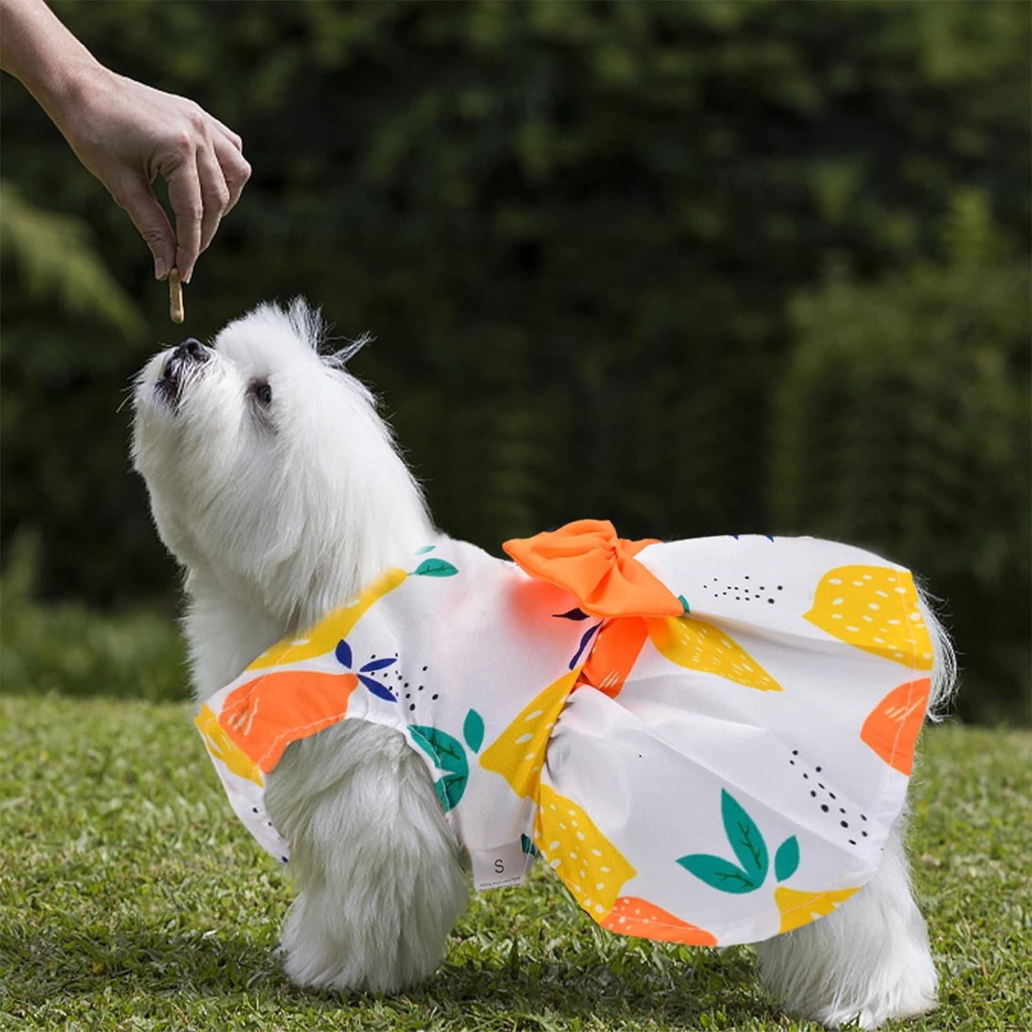 slim fit dress slacks KUTKUT Cute Daisy Pattern Dog Dress with Lovely Bow Pet Apparel Dog Clothes  for Small Dogs and Cats main image 1