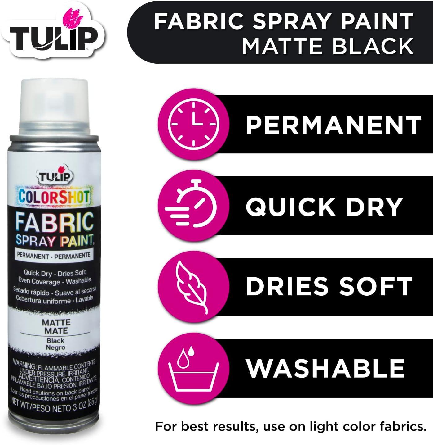 Tulip ColorShot Instant Fabric Spray Color 3oz. Black Black Color