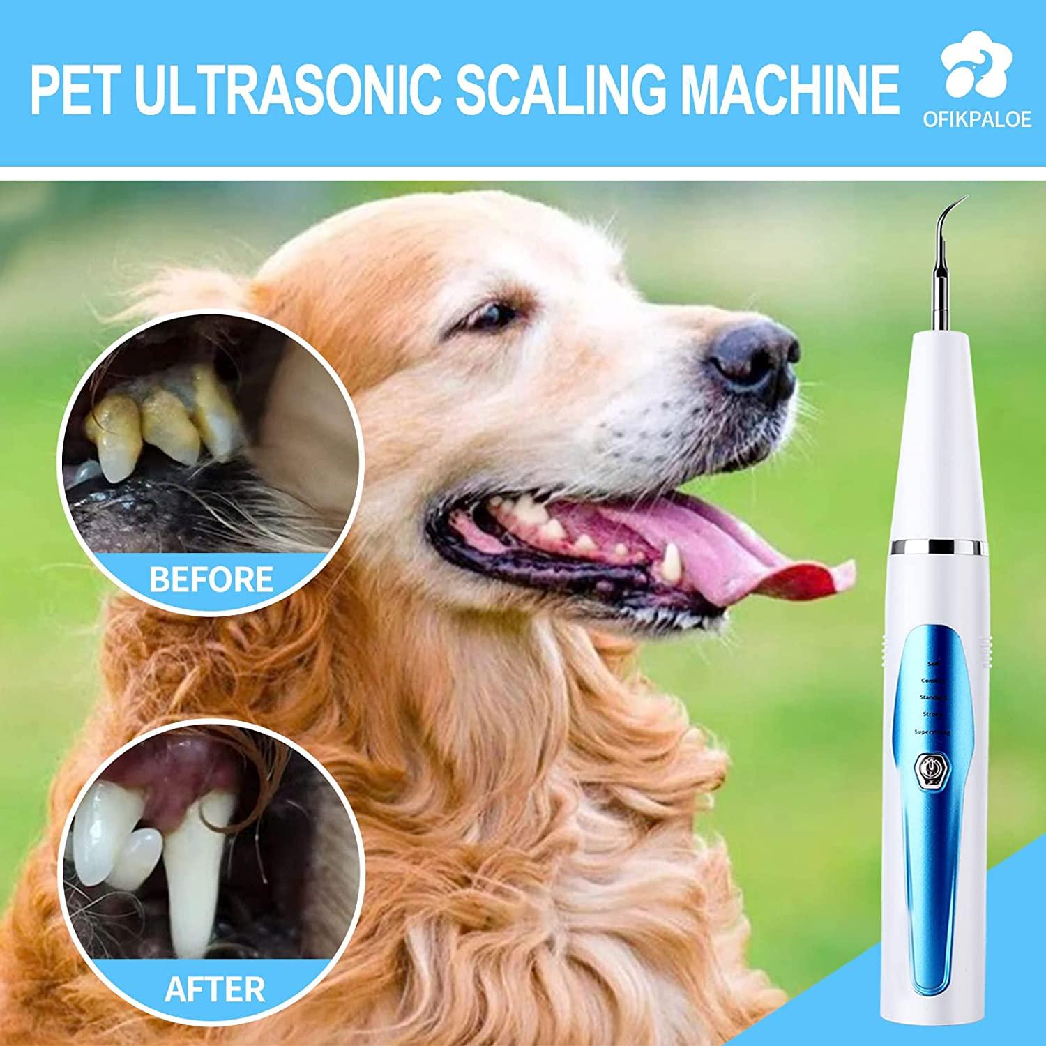 7PcsDog Teeth Cleaning Kit, Electric Dog Tartar Remover for Teeth, Pet