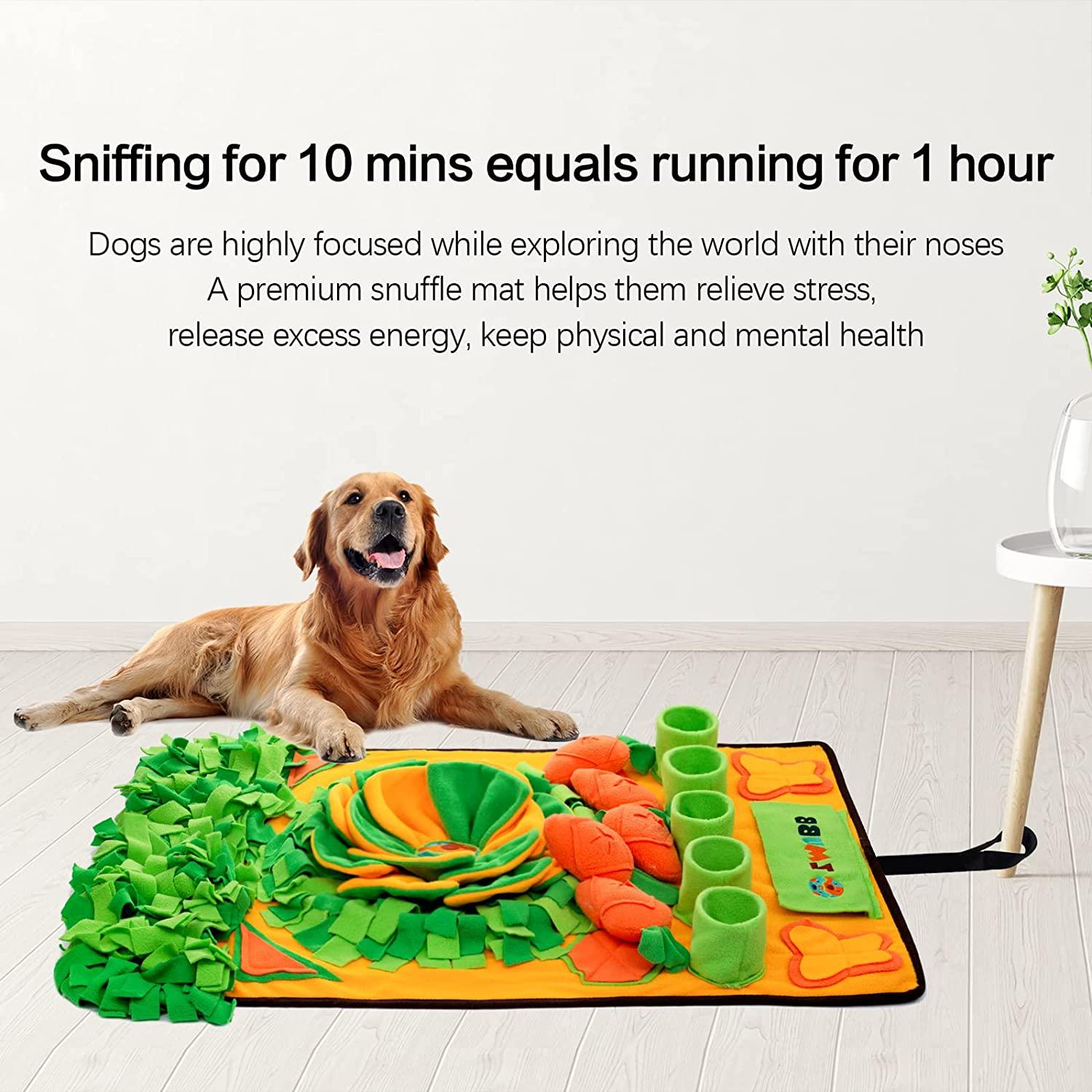 Snuffle Mat Nosework Dog Feeding Mat Pet Training Play Mats Puzzle Toys for  Stress Release Activity Mat for Foraging Skill, Non-Slip Snuffle Mats  Esg12479 - China Dog Mat and Pet Snuffle Mat
