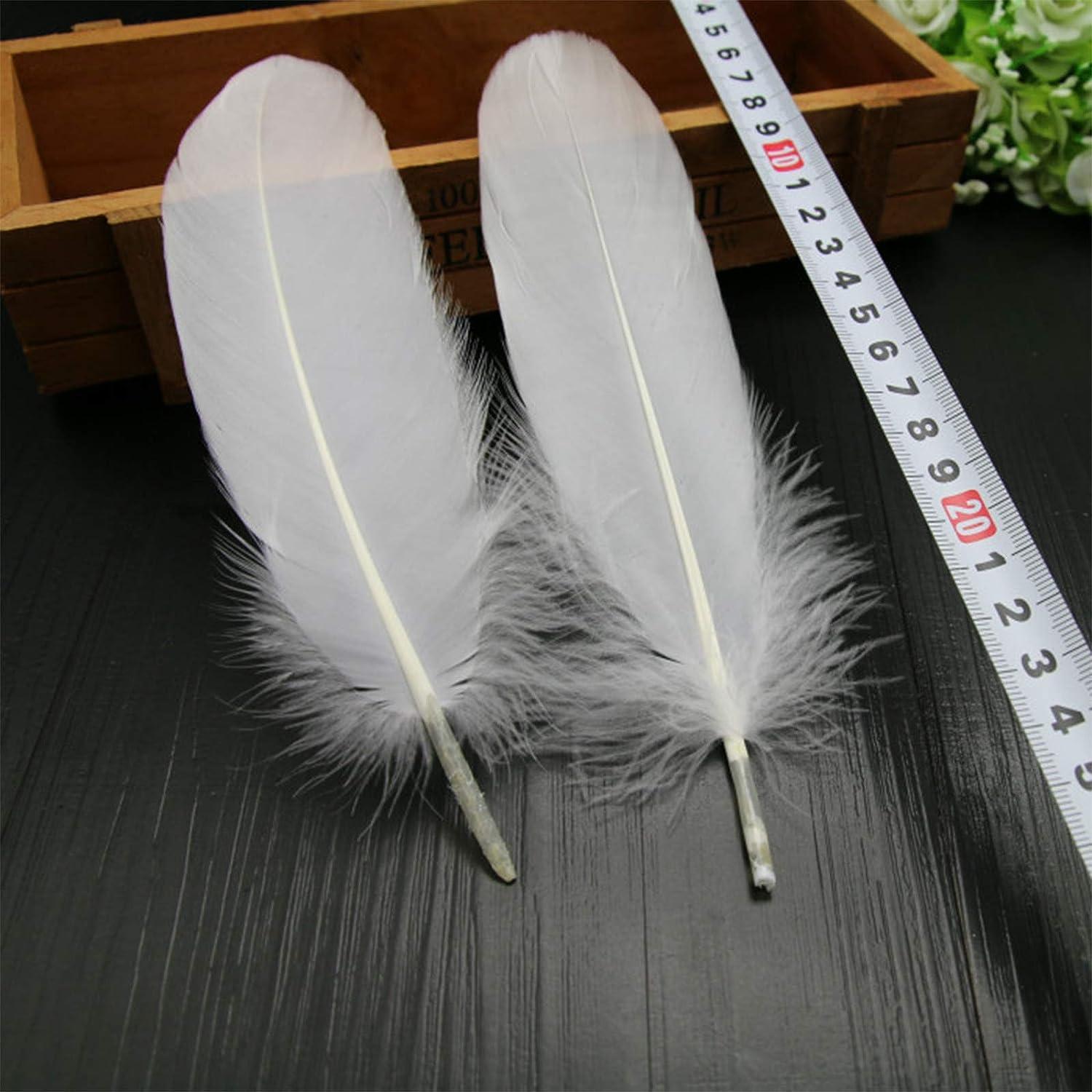 HaiMay 200 Pieces White Feathers for Craft Wedding Home Party Decorations  6-8 Inches Goose Feathers White Craft Feathers White 200 Pieces