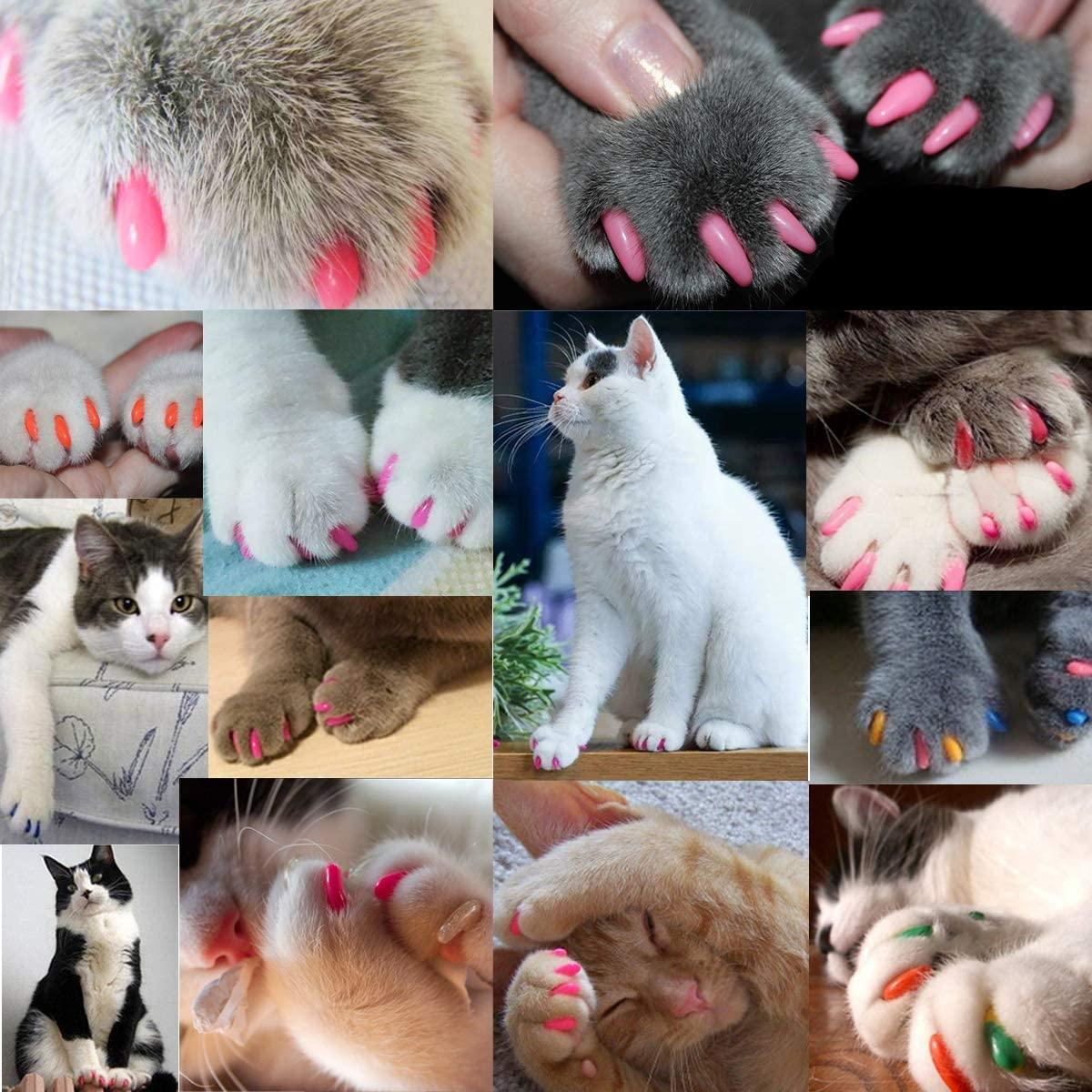 100 pcs Soft Cat Nail Caps for Cats Claws 5X Different Random Colors + –  PETOLY