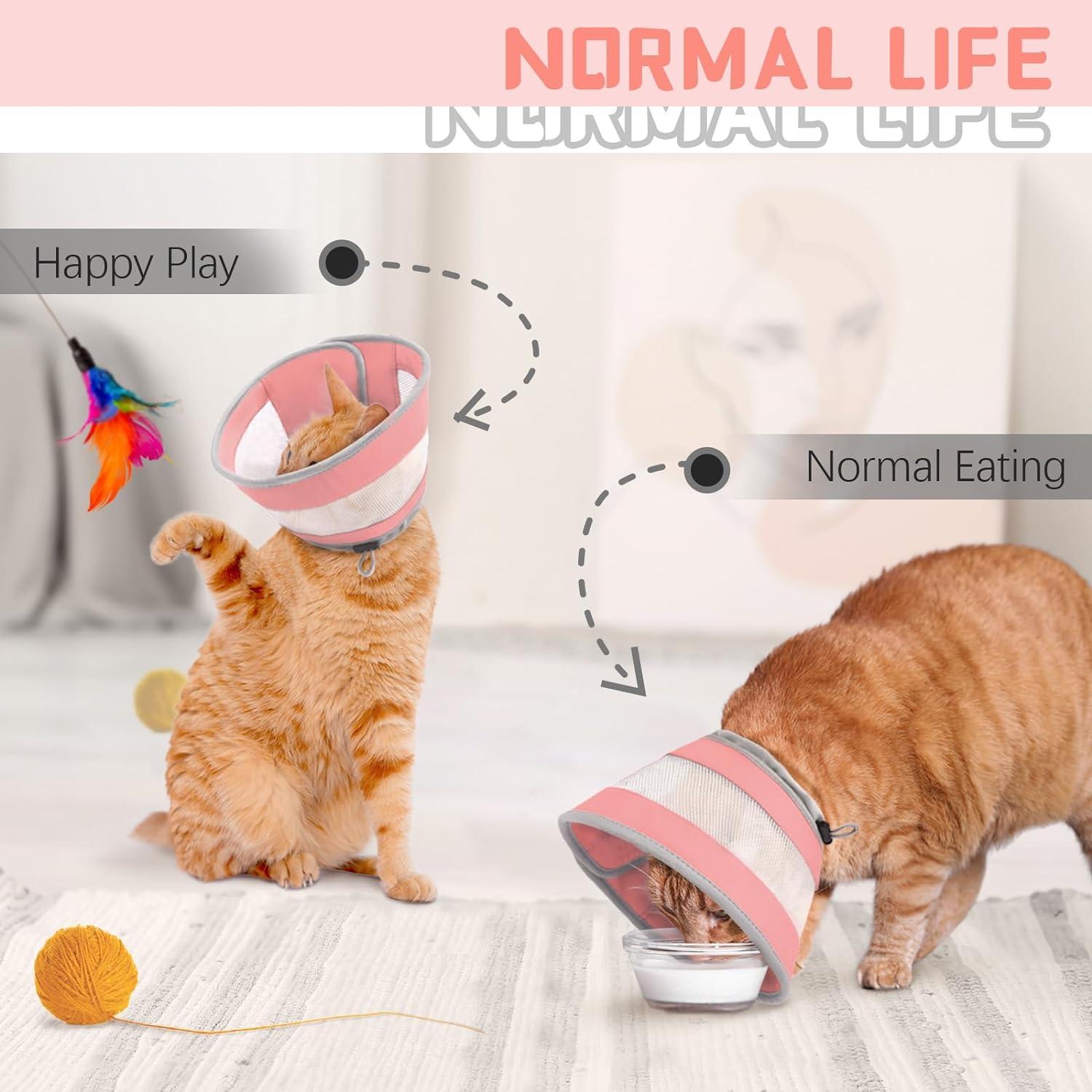 Kitten Cone Soft Comfy Cat Con Stops Licking, Folds Flat