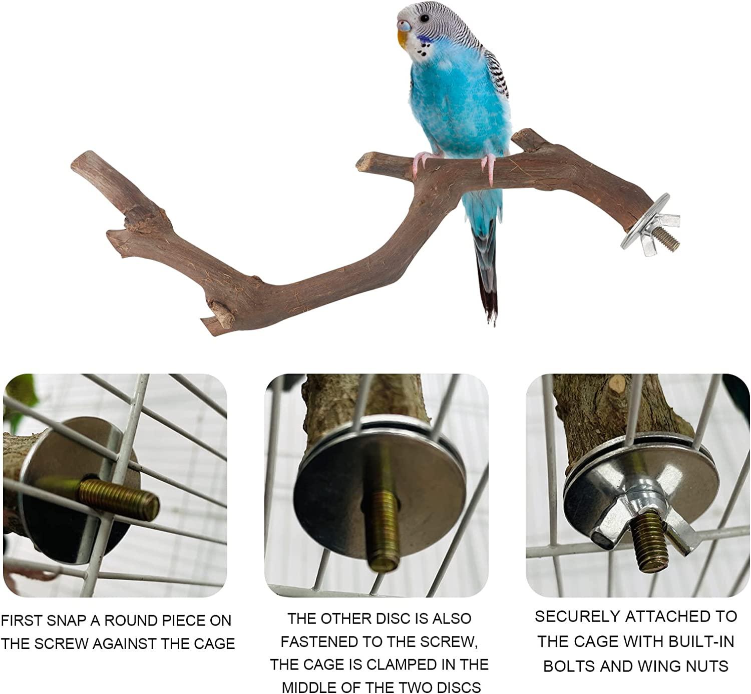 Perch Add-on for Bird Buddy Using Existing Accessory Mounting Holes My  Original Design 