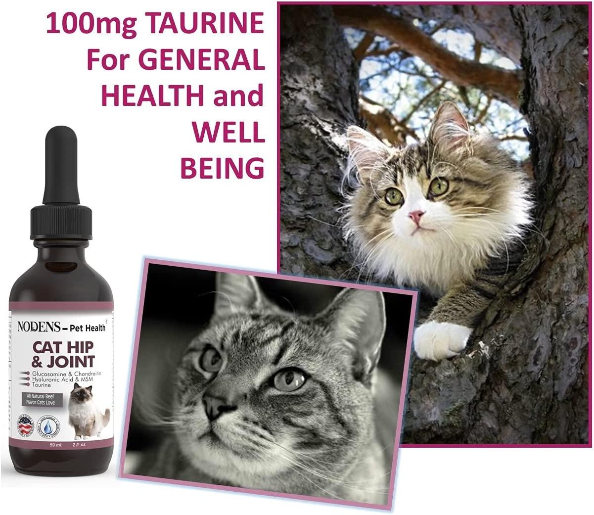 NODENS CAT Hip and Joint Glucosamine for Cats with Chondroitin and Opti