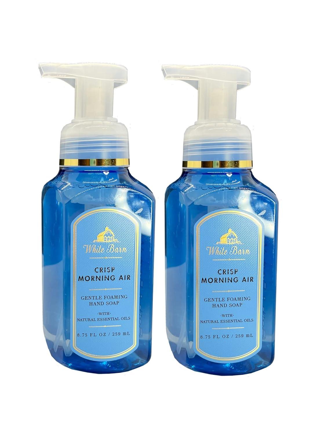 Bath & Body Works Crisp Morning Air Hand Soap Set - 2 Pack, 8.25