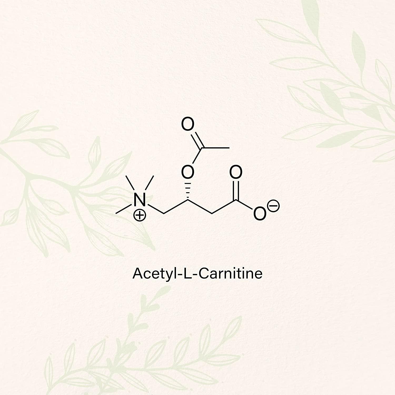 Wild Organic Acetyl LCarnitine Gummies 1500mg ALCAR for Energy, Metabolism & Immune Support