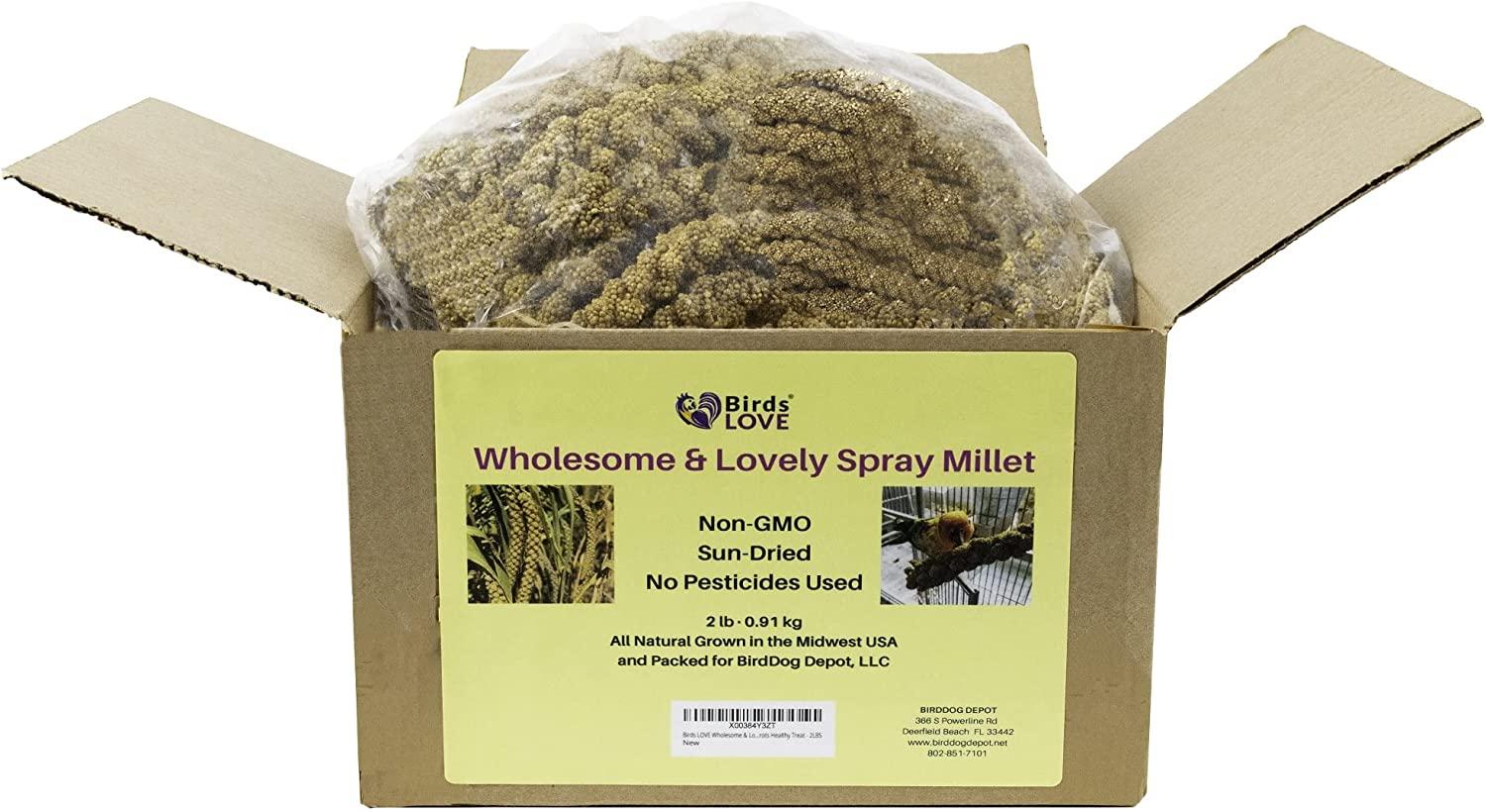Birds LOVE Spray Millet 2lb Wholesome and Nutritious Treat for Birds