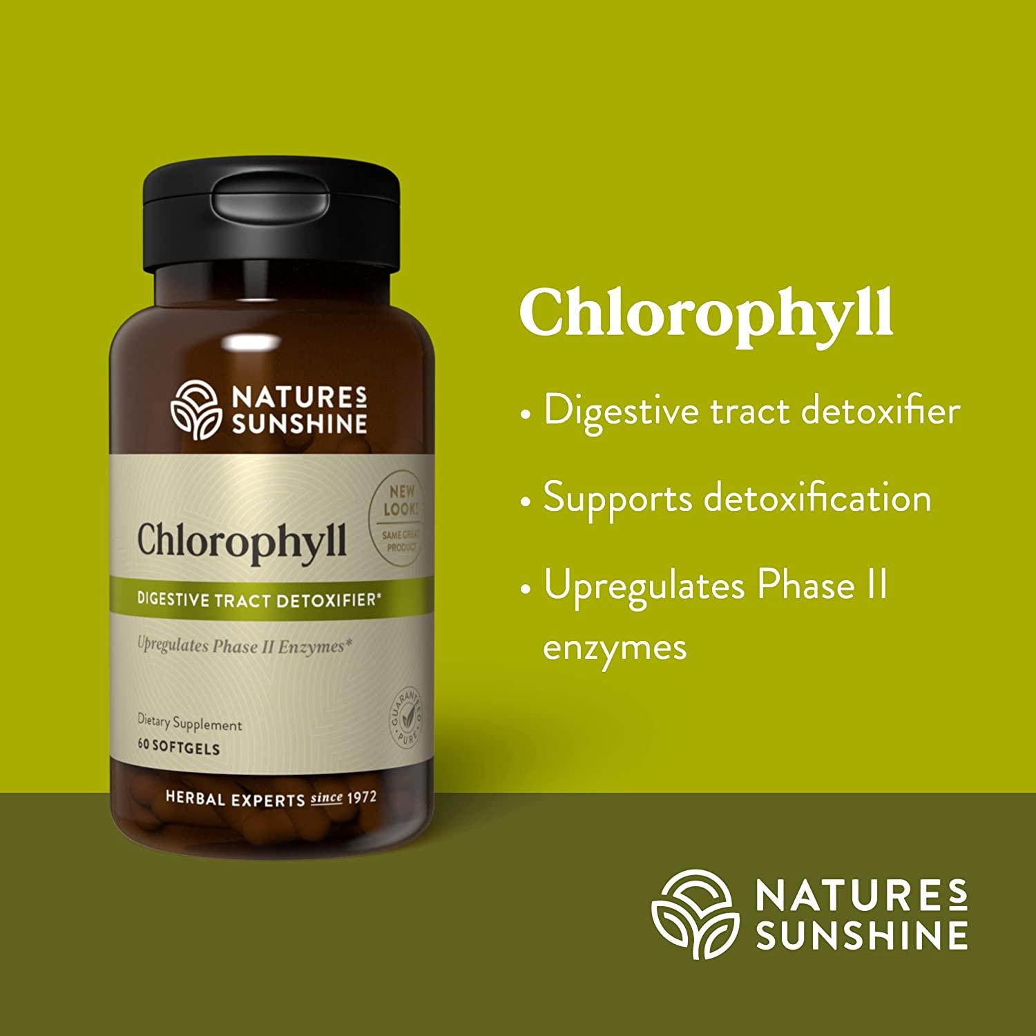 Nature's Sunshine Chlorophyll 60 Softgel Capsules
