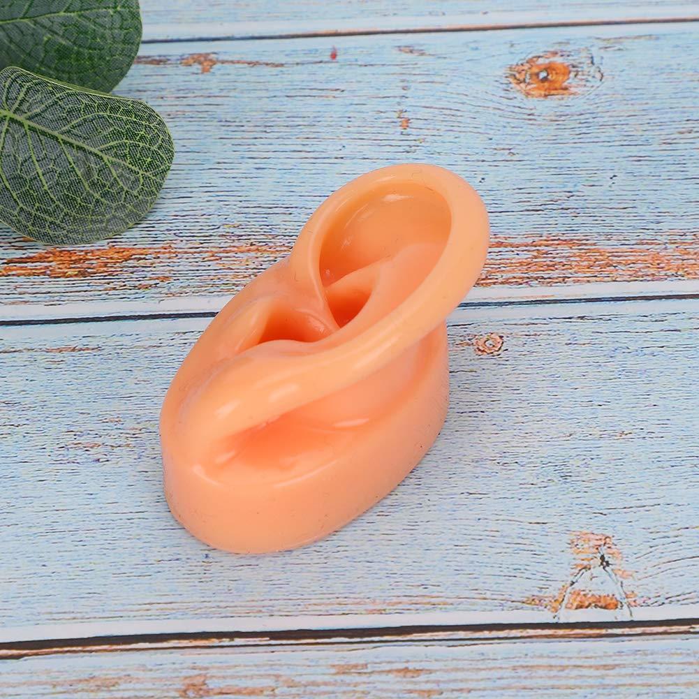 Human Soft Silicone Left Ear Model Life Size Acupuncture Study Practice Tool Teaching Resources For Medical Science