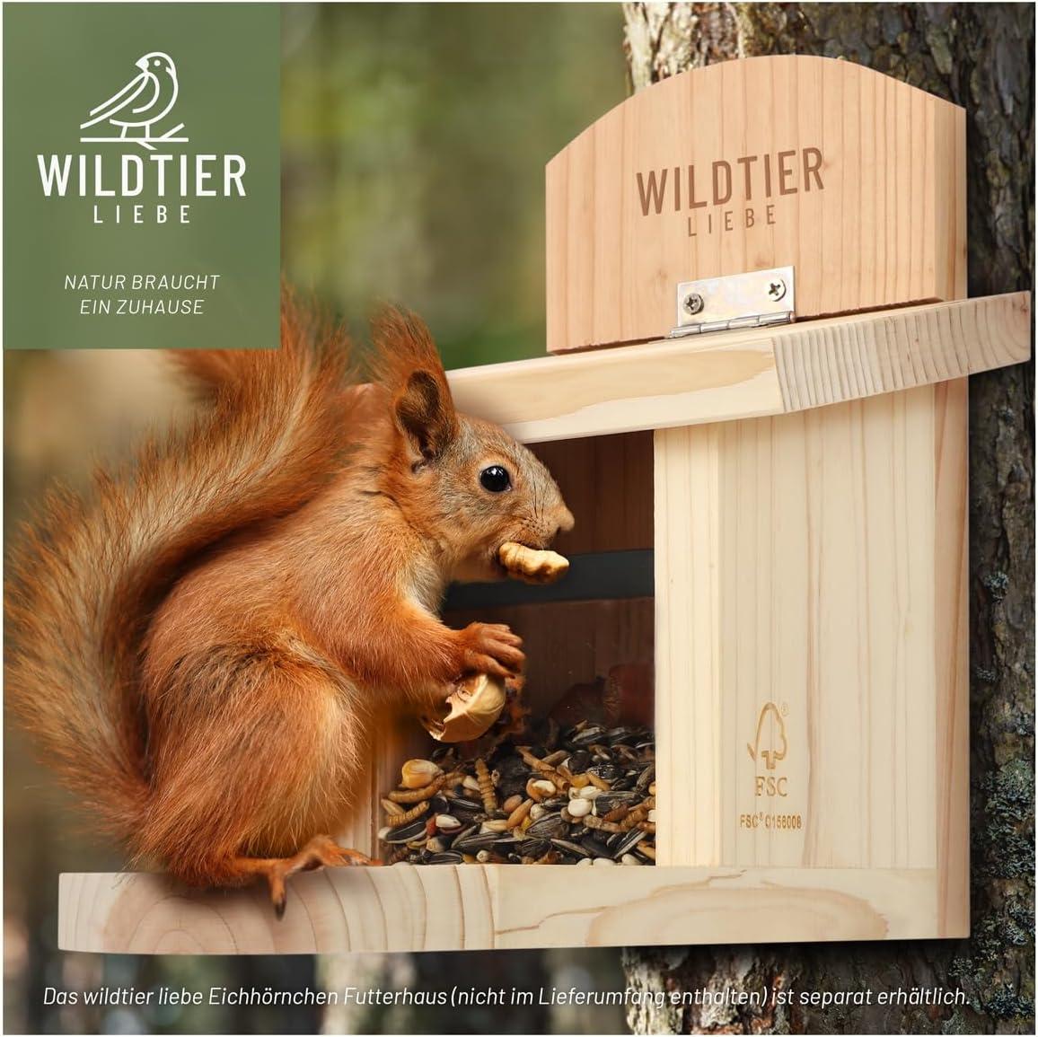 Eichhörnchen Futterstation Aus Holz - Wandmontage Mit Regenschutz | Großer Fassungsvermögen