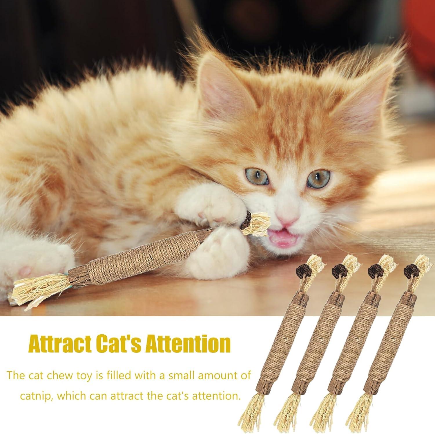 pcs Natural Silvervine Sticks Kitten Teething Toys Natural Cat