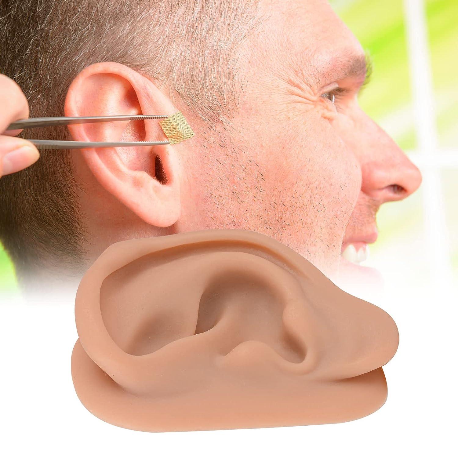 Acupuncture Ear Model Left Artificial Ear Replica for Auricular Therapy