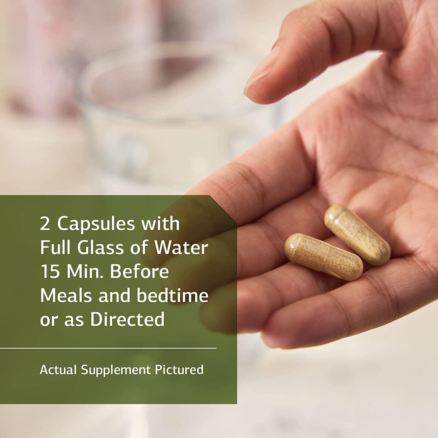 Standard Process Gastrex Whole Food Digestion and Digestive Health