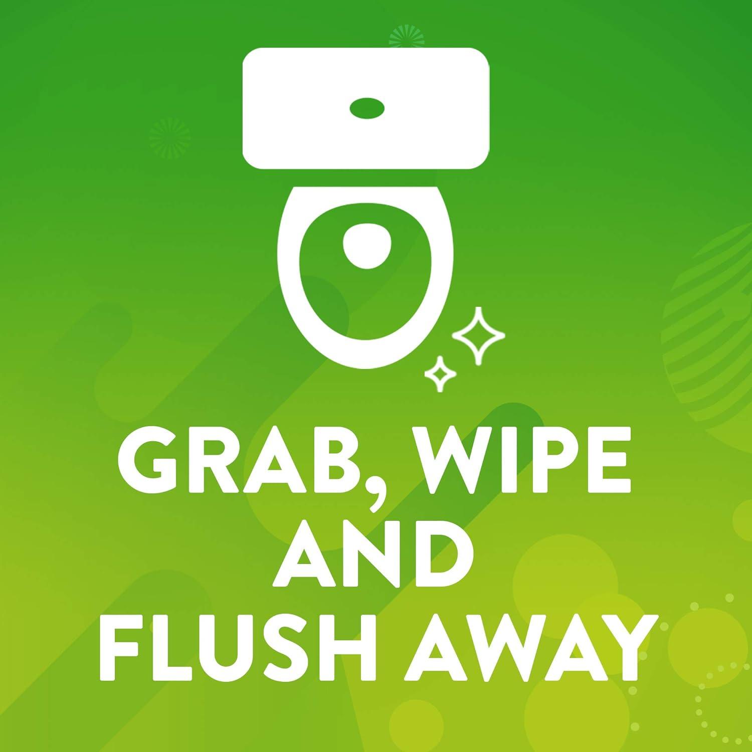 Scrubbing Bubbles Antibacterial Bathroom Flushable Wipes Flushable