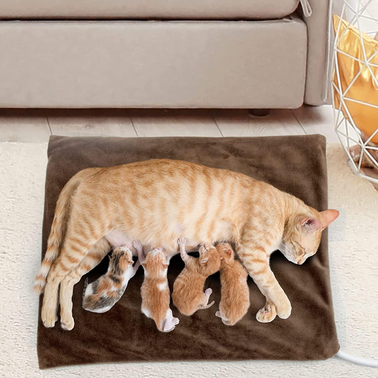 NAMOTEK Pet Heating Pad Safe Electric Warming Pad for Dogs & Cats