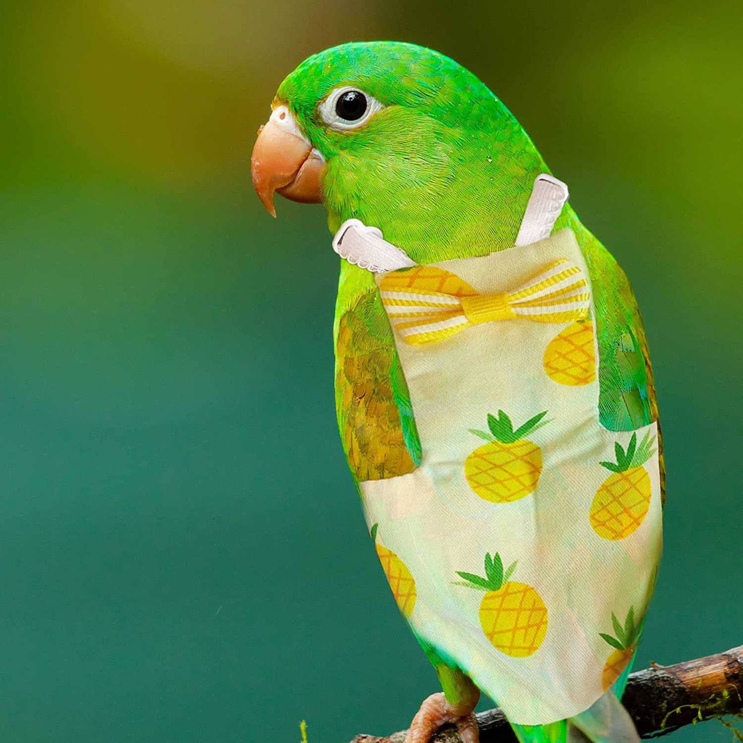 Dnoifne Bird Diapers Flight Set with Green Leash, Bird Diaper with Cute Pattern, Washable and