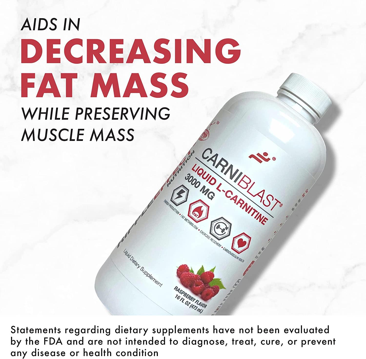 is l carnitine bad for kidney Bricker Labs CARNIBLAST Liquid L-Carnitine 3000mg - Sports Nutrition Energy  Supplement with Carnipure Premium L Carnitine - Raspberry 16 fl oz | Buy  Now with Express International Delivery