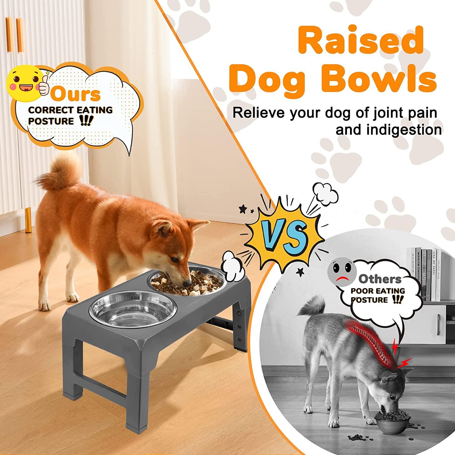 Adjustable Elevated Dog Bowl Stand for Dogs - 4 Heights, Wide 5-10 -Oppro  Single Raised Dogs Food Water Bowls Holder, Upgrade Metal Elevated Dog