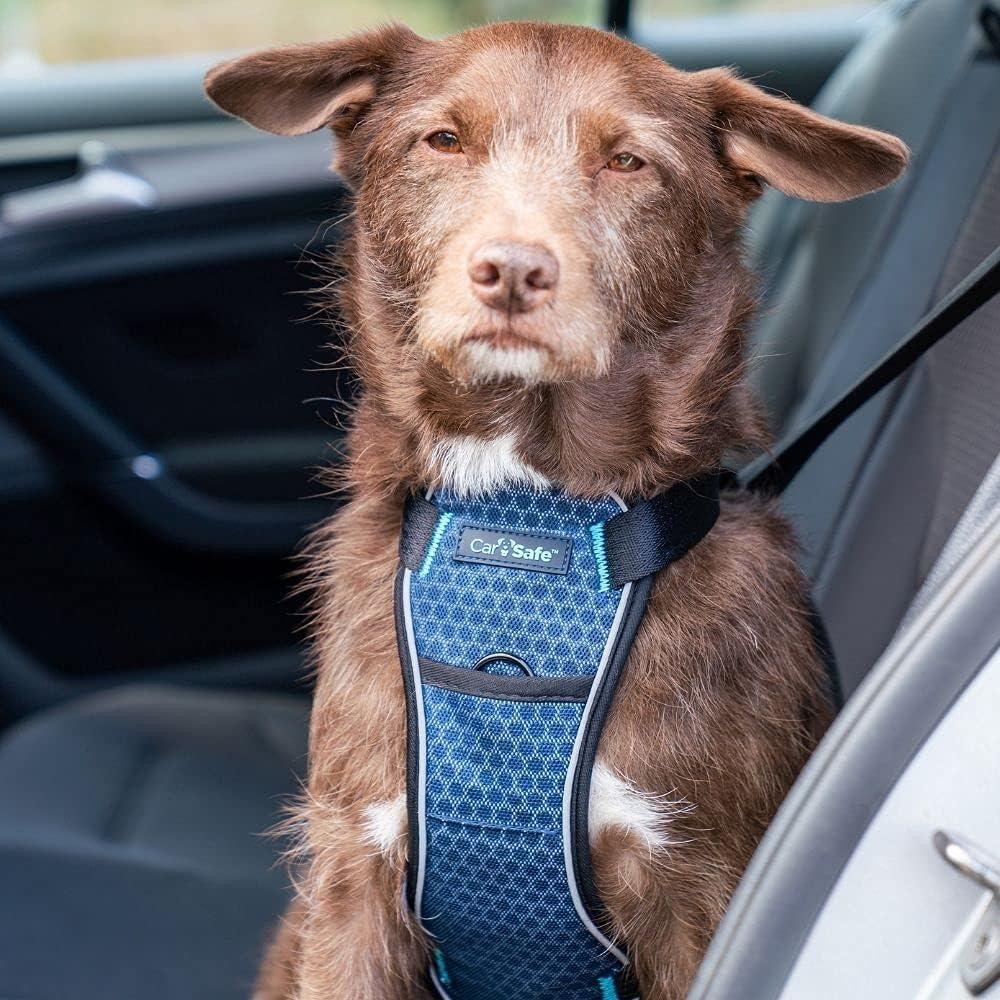 CarSafe Crash Tested Dog Safety Harness - From The Makers Of Halti CarSafe Crash Tested Dog Safety Harness - From The Makers Of Halti